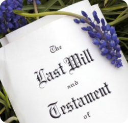 A document titled "Last Will and Testament" rests on grass, with a sprig of purple flowers placed beside it.