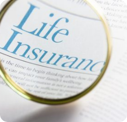 A magnifying glass held over a document highlights the words "Life Insurance" in large blue text, emphasizing the focus on life insurance policies and related information.